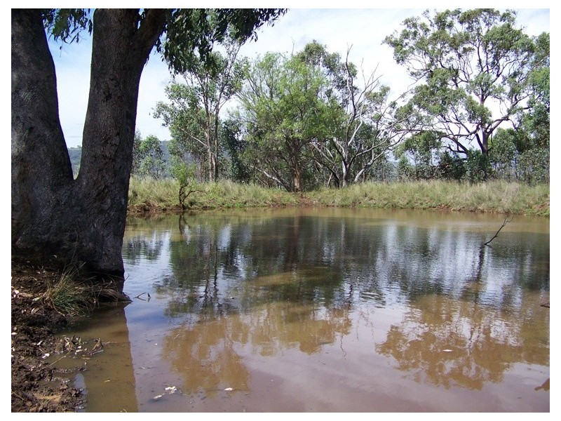 . Borambil Creek Road, Willow Tree NSW 2339