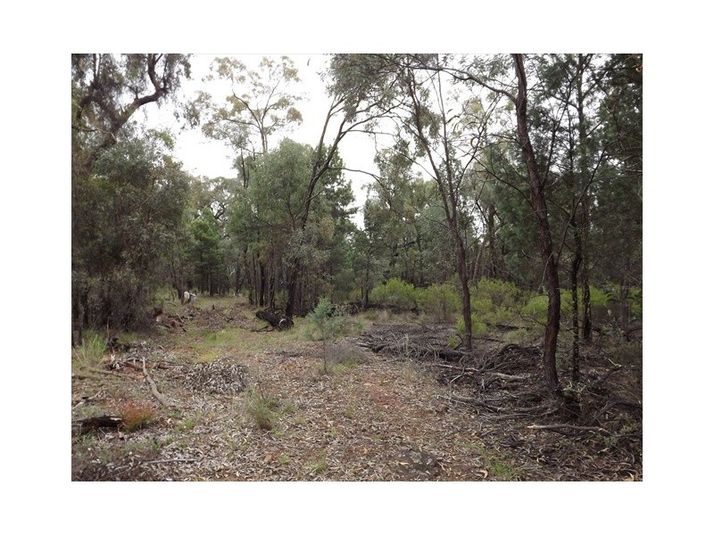 Lot 3 Kurrajong Rd, Bugaldie NSW 2357