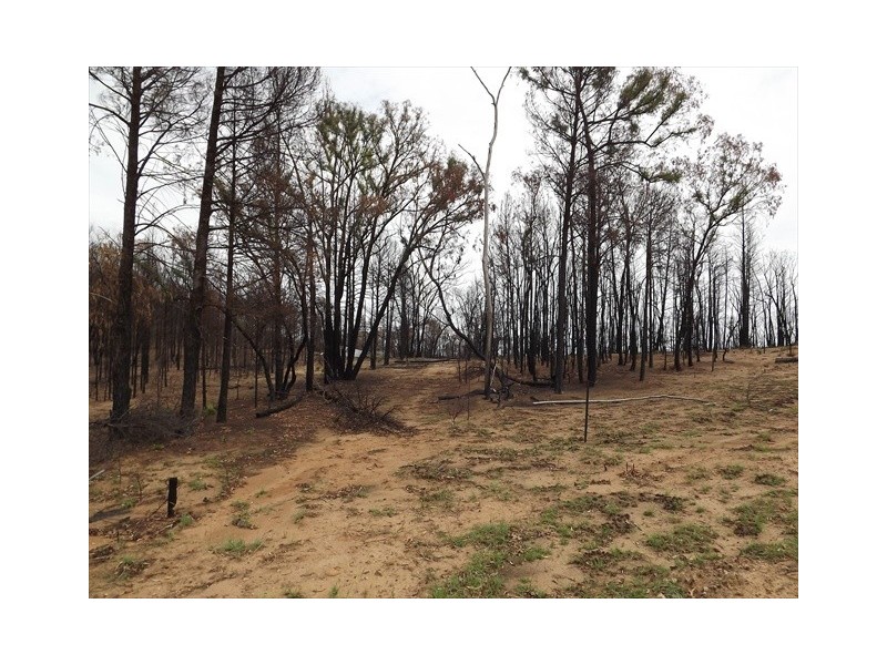 Lot 3 Kurrajong Rd, Bugaldie NSW 2357