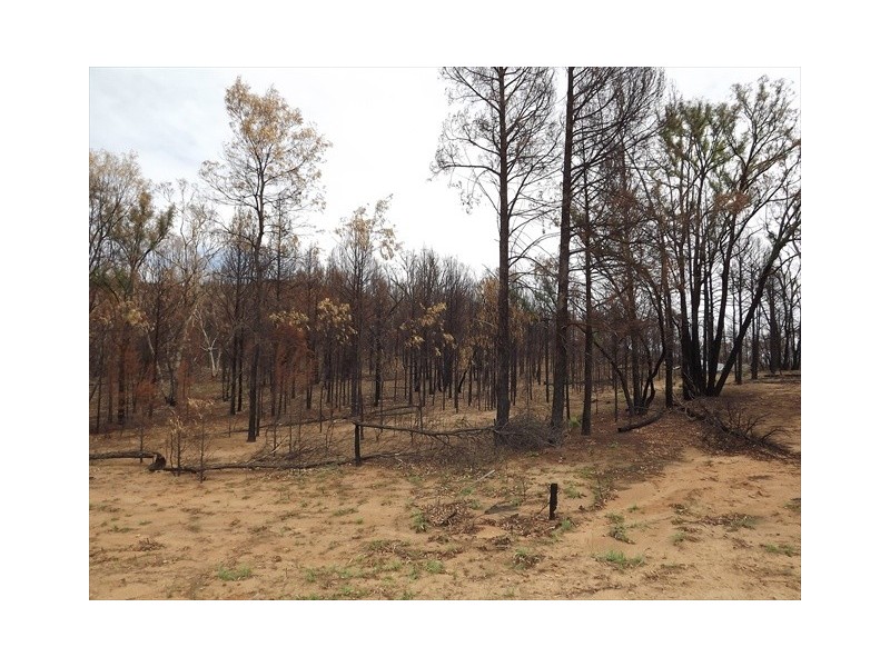 Lot 3 Kurrajong Rd, Bugaldie NSW 2357