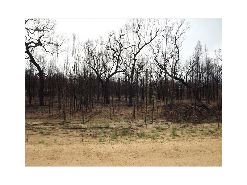 Lot 3 Kurrajong Rd, Bugaldie NSW 2357