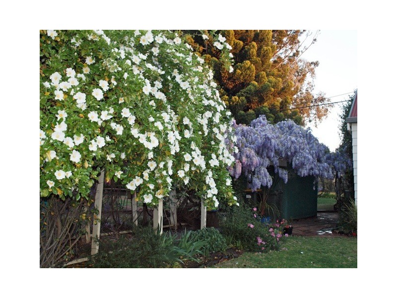 WARANA Swanbrook Road, Inverell NSW 2360