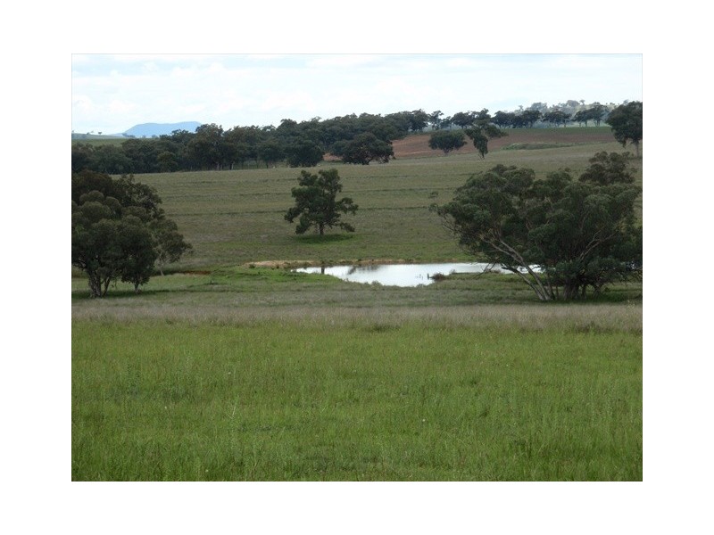 Tambar Springs NSW 2381