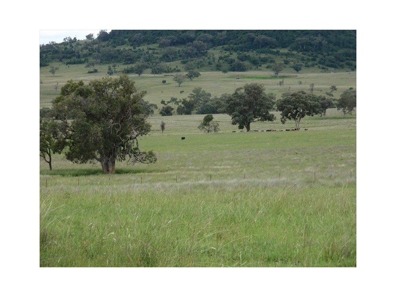 Tambar Springs NSW 2381