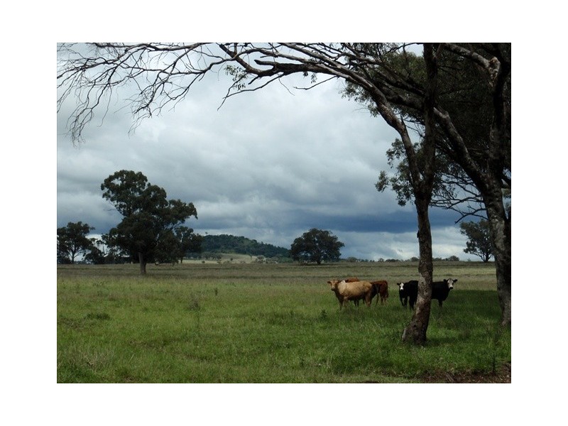 Tambar Springs NSW 2381