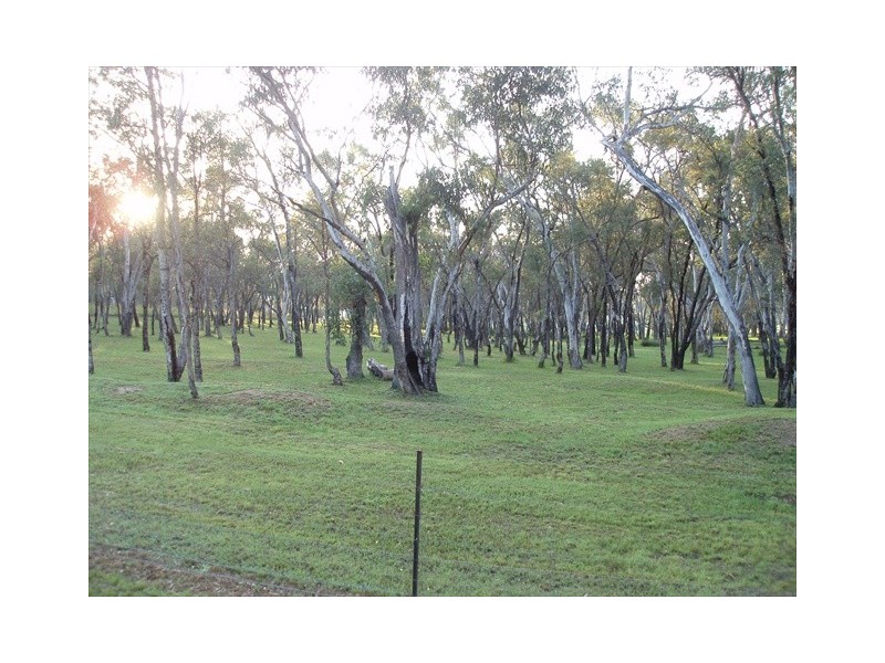 Coonabarabran NSW 2357
