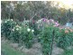 Coonabarabran NSW 2357