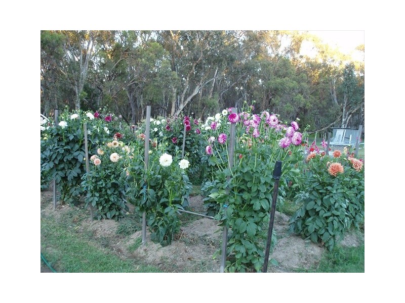 Coonabarabran NSW 2357