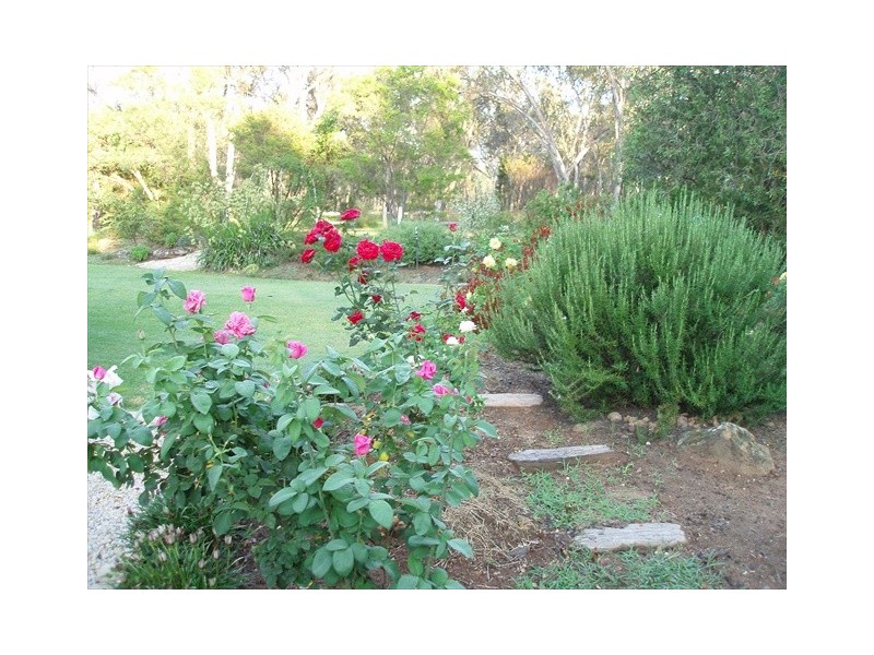 Coonabarabran NSW 2357