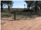 “Leewood” Newell Highway, Narrabri NSW 2390