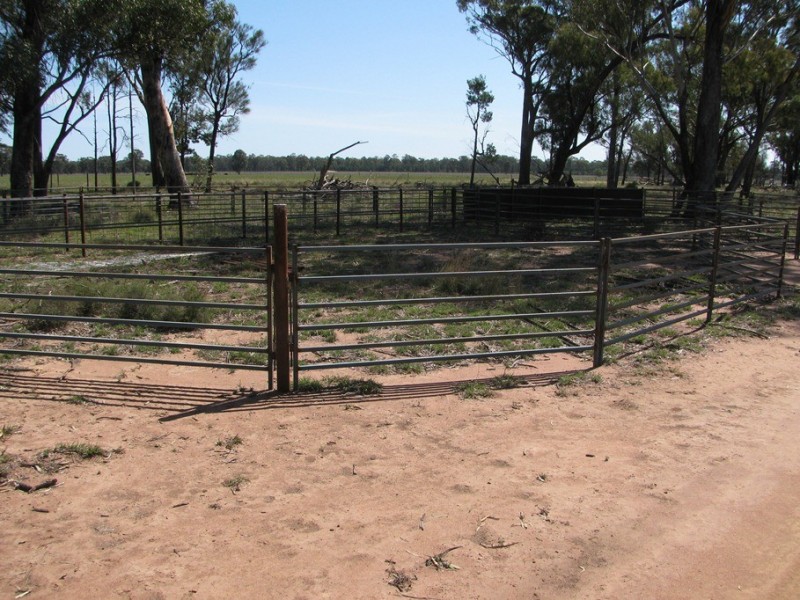 “Leewood” Newell Highway, Narrabri NSW 2390