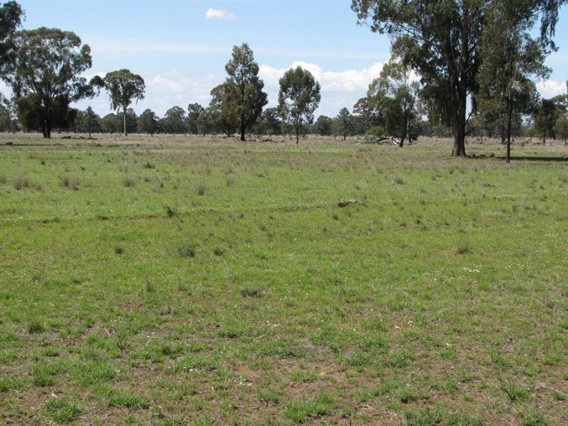 “Leewood” Newell Highway, Narrabri NSW 2390