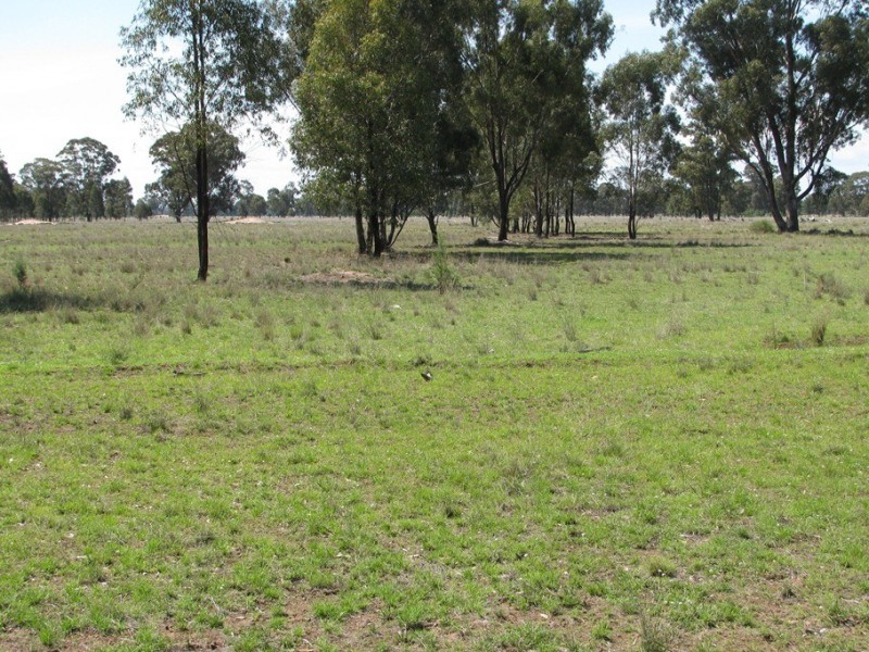 “Leewood” Newell Highway, Narrabri NSW 2390