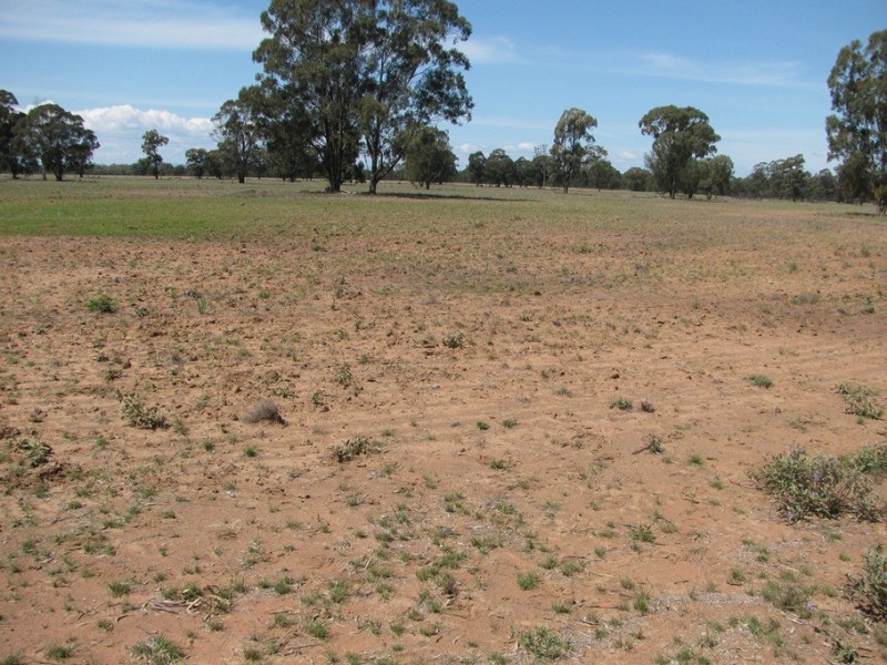 “Leewood” Newell Highway, Narrabri NSW 2390