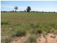 “Leewood” Newell Highway, Narrabri NSW 2390