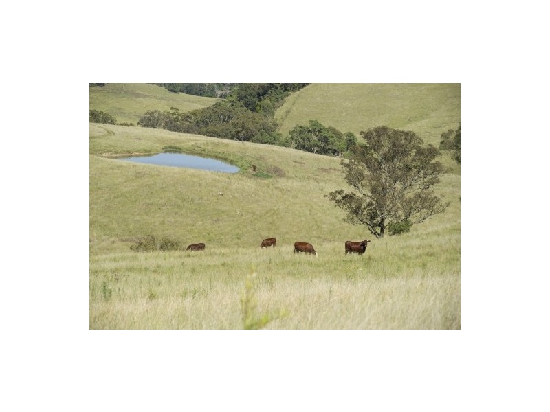 ‘Arkana’ 1986 Sandy Creek Road, Muswellbrook NSW 2333