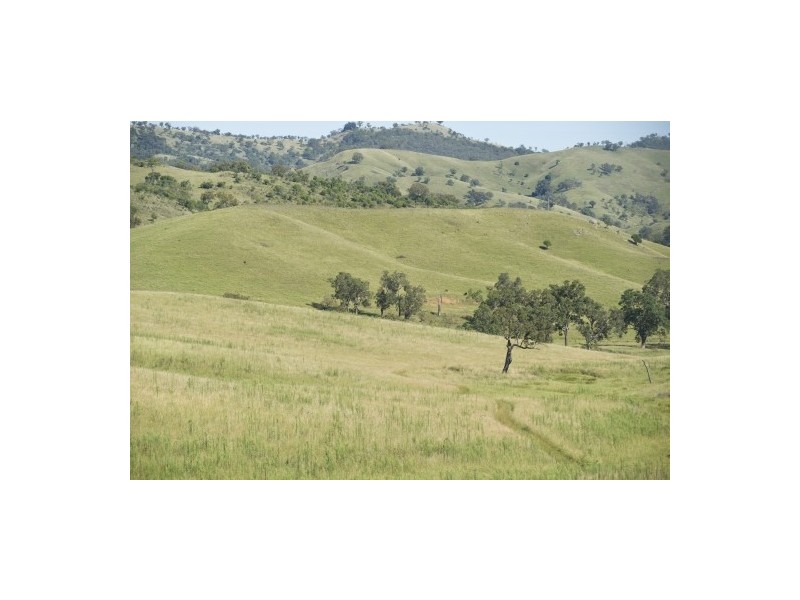 ‘Arkana’ 1986 Sandy Creek Road, Muswellbrook NSW 2333