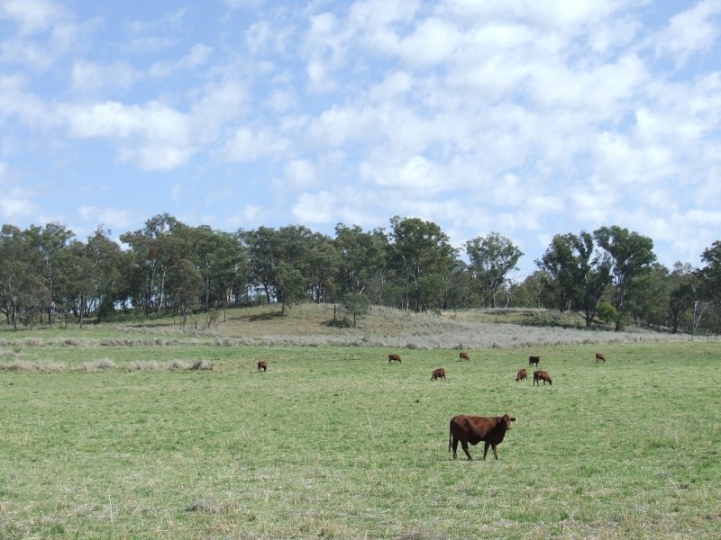 KURIAH PARK Elsmore Road, Inverell NSW 2360