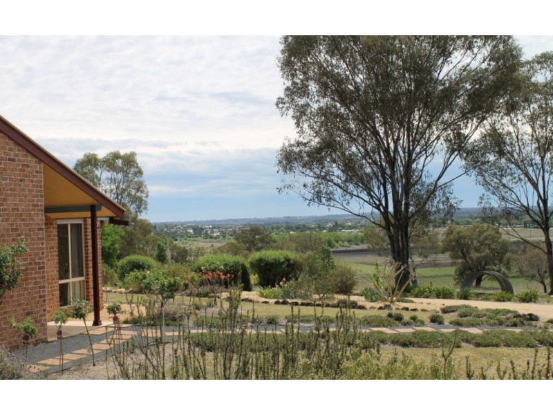 16 Osterley Terrace, Inverell NSW 2360