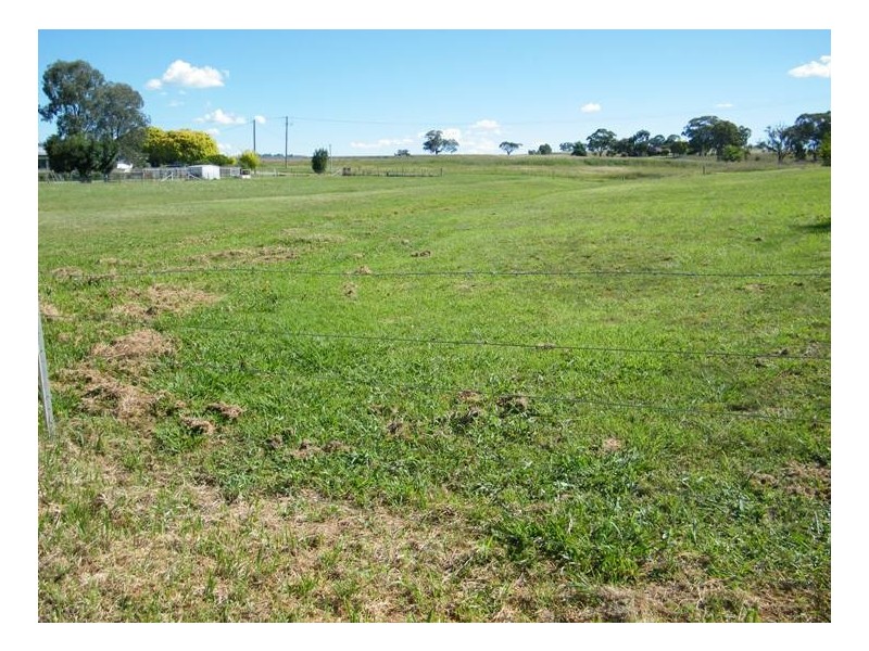 Lots 13-15, 1 Church St, Quirindi NSW 2343