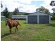13 Vernon St, Wingen NSW 2337