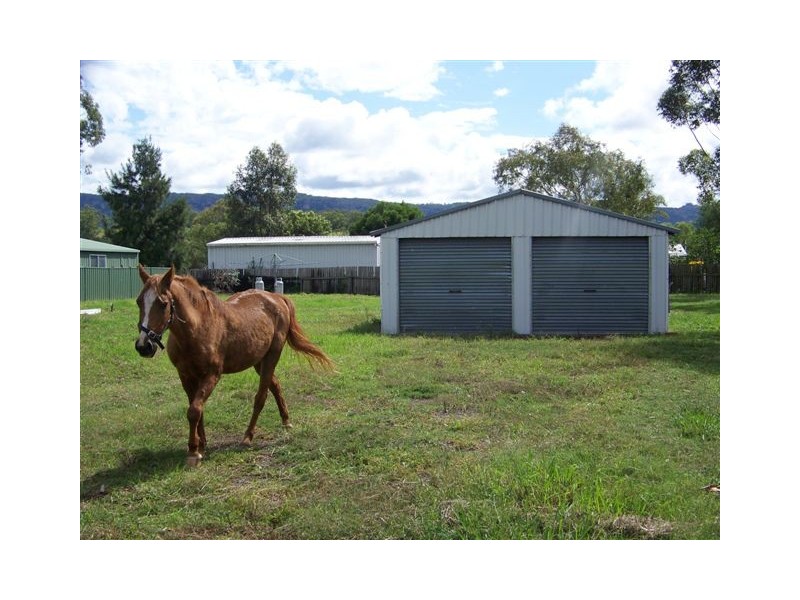 13 Vernon St, Wingen NSW 2337