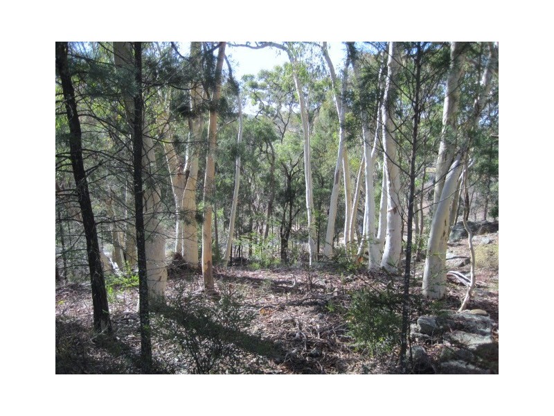Deepdene Timor Road, Coonabarabran NSW 2357