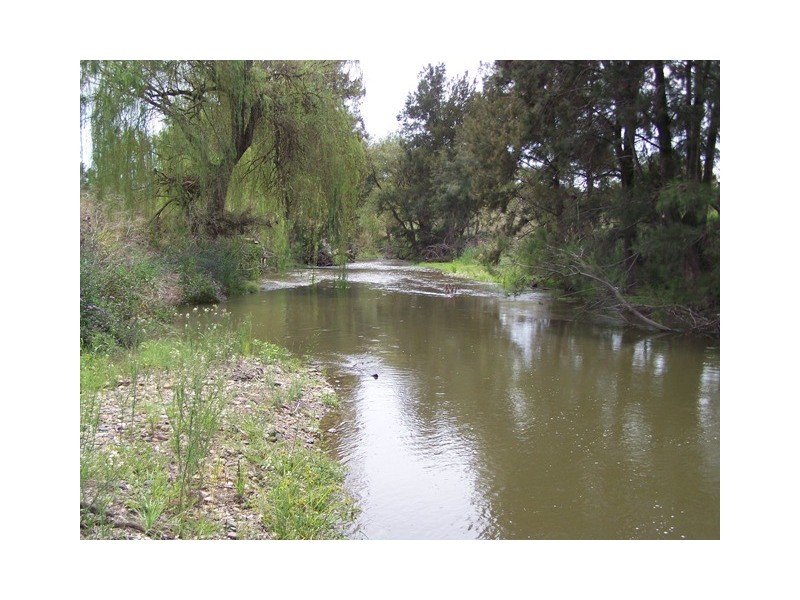 “Mountain View”, Wellington NSW 2820