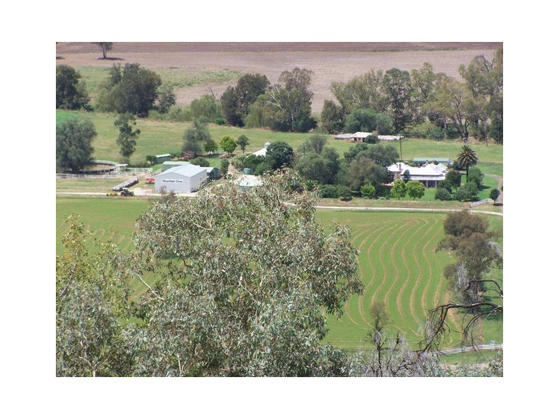 “Mountain View”, Wellington NSW 2820