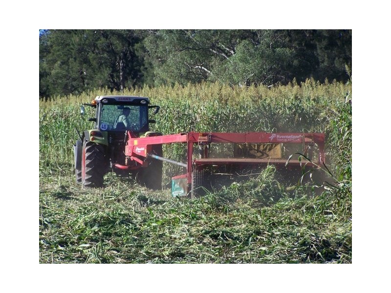 “Mountain View”, Wellington NSW 2820