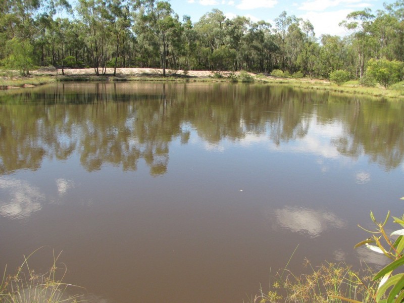 490 Farr Park Rd, Wee Waa NSW 2388