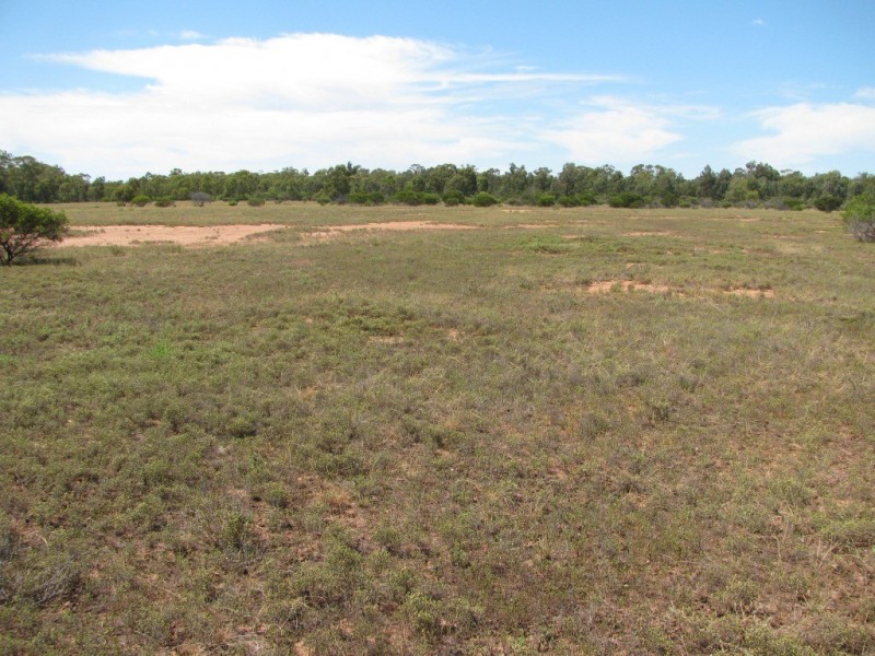 490 Farr Park Rd, Wee Waa NSW 2388
