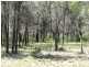 490 Farr Park Rd, Wee Waa NSW 2388