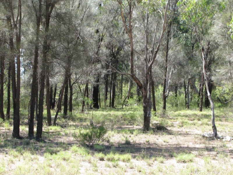 490 Farr Park Rd, Wee Waa NSW 2388