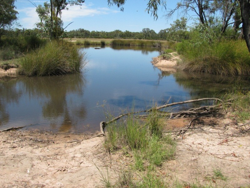 490 Farr Park Rd, Wee Waa NSW 2388
