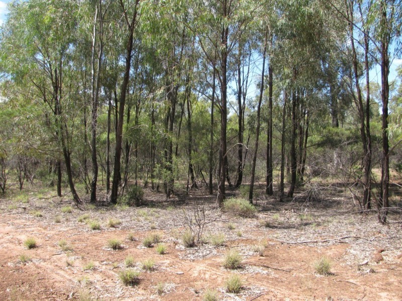 Lot 40 Farr Park Rd, Wee Waa NSW 2388