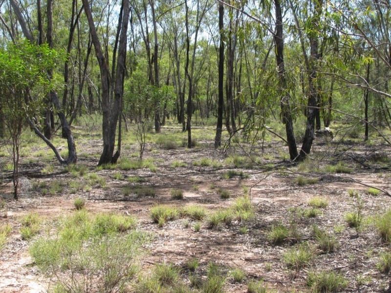 Lot 40 Farr Park Rd, Wee Waa NSW 2388