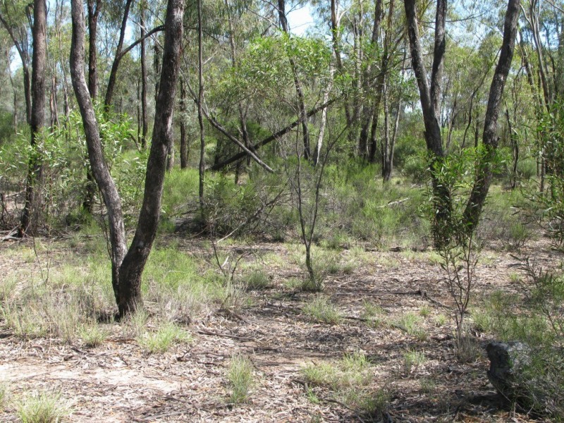 Lot 40 Farr Park Rd, Wee Waa NSW 2388