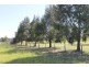 Inverell NSW 2360
