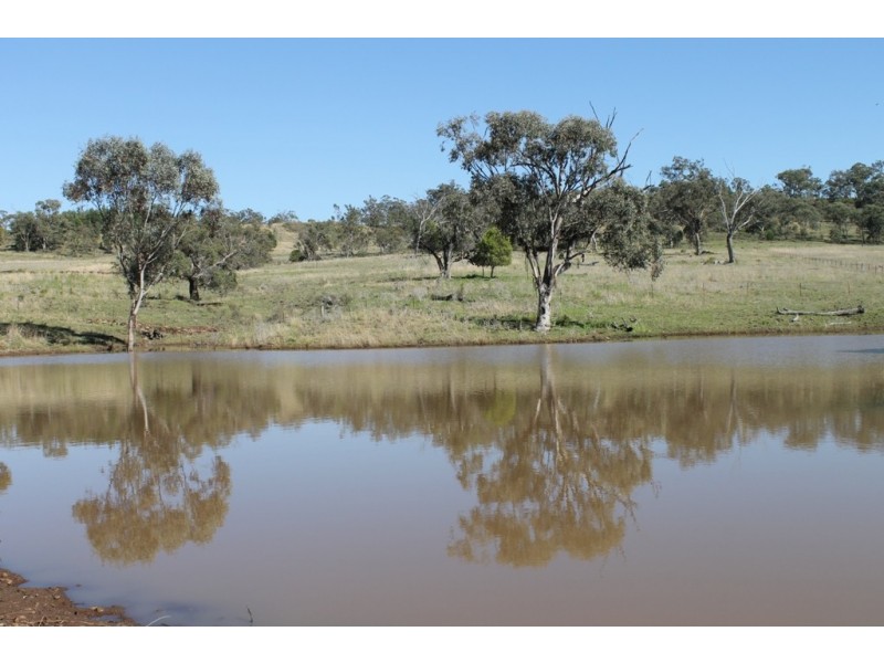 ARDNAREE Graman Road, Inverell NSW 2360