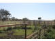 ARDNAREE Graman Road, Inverell NSW 2360