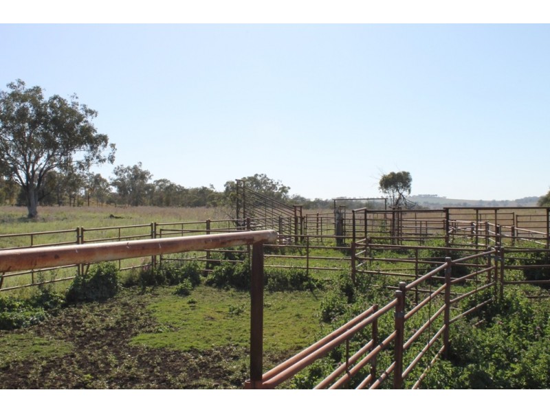 ARDNAREE Graman Road, Inverell NSW 2360
