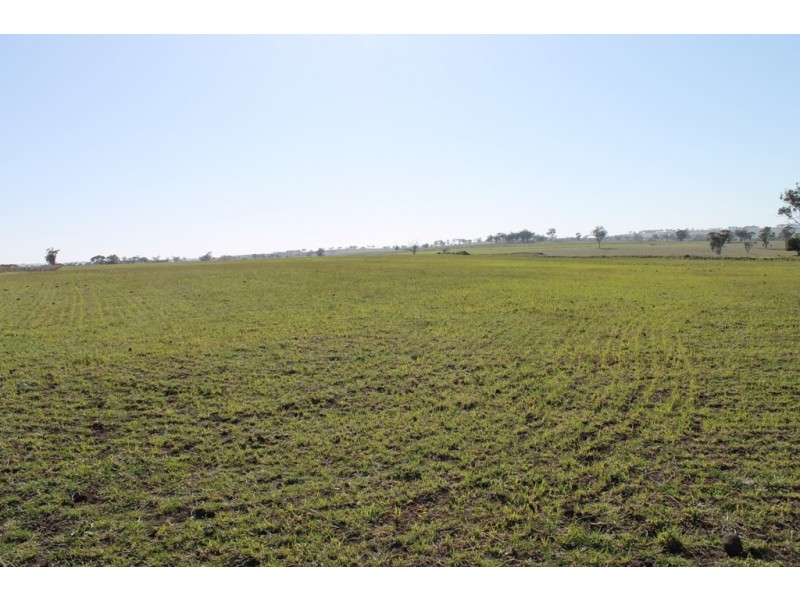 ARDNAREE Graman Road, Inverell NSW 2360