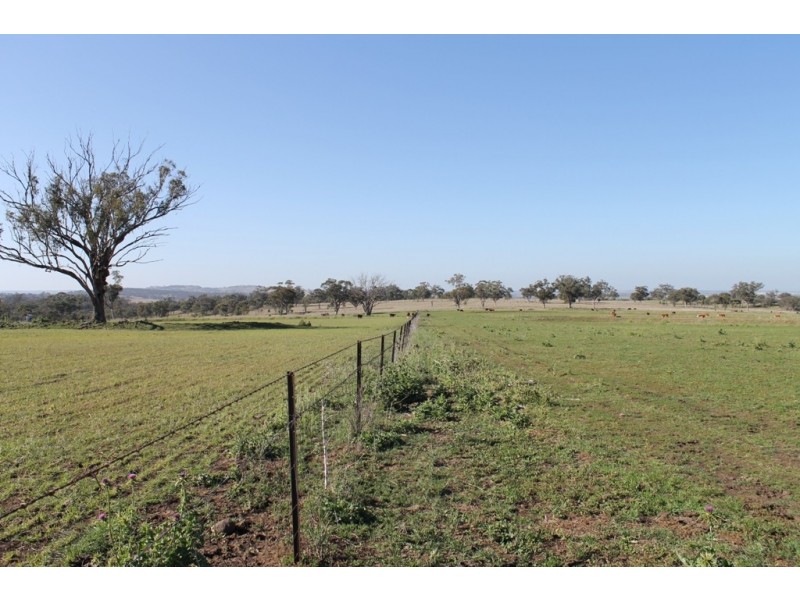 ARDNAREE Graman Road, Inverell NSW 2360
