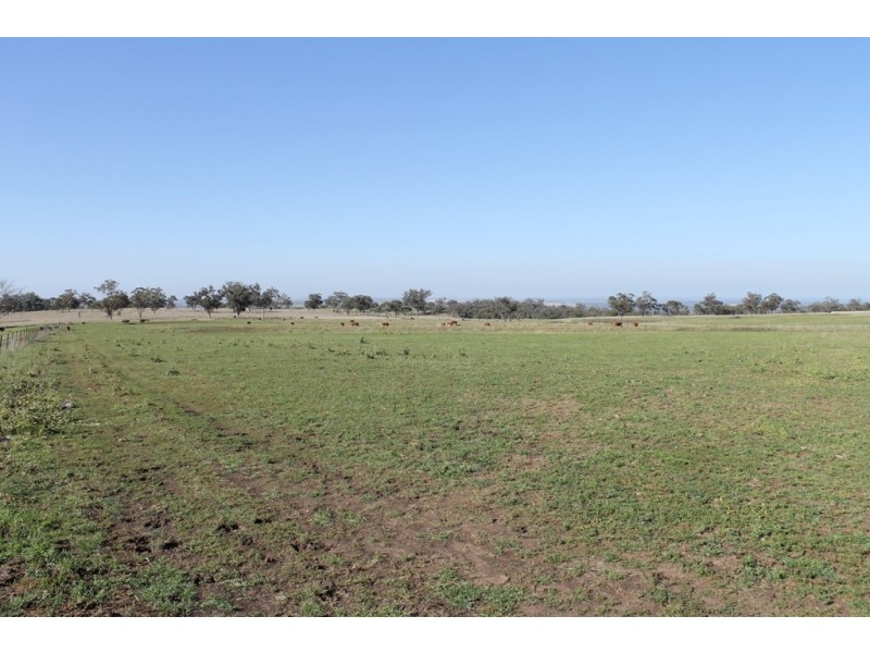 ARDNAREE Graman Road, Inverell NSW 2360