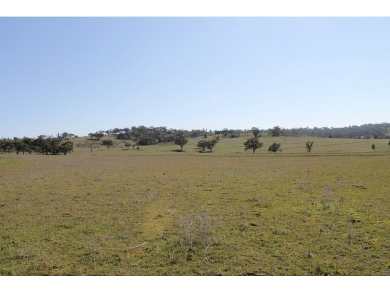 ARDNAREE Graman Road, Inverell NSW 2360