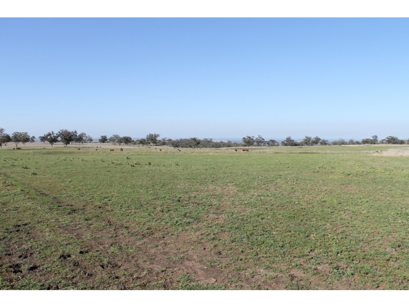 ARDNAREE Graman Road, Inverell NSW 2360