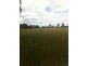 Lot 2 Werribee Road, Premer NSW 2381