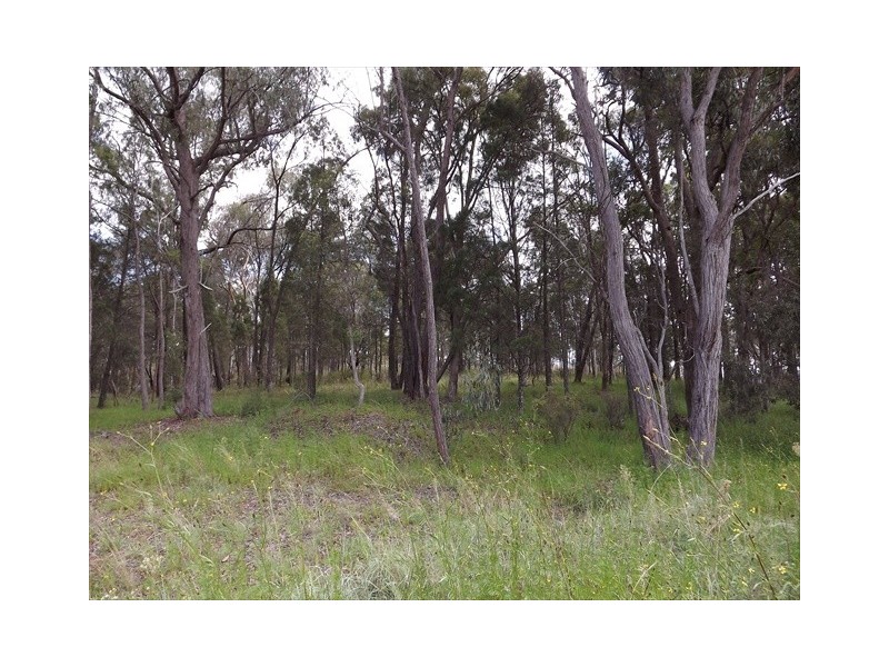 Coonabarabran NSW 2357