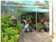 1 Abbott St, Wingen NSW 2337